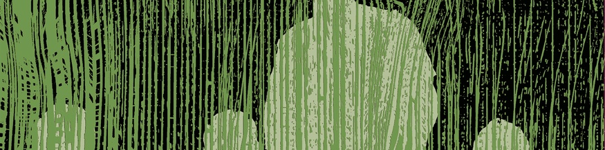 "Hotel Pupik" von Led Bib, Ausschnitt des Covers