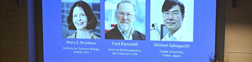 Medizinnobelpreis 2025: Mary E. Brunkow, Fred Ramsdell und Shimon Sakaguchi