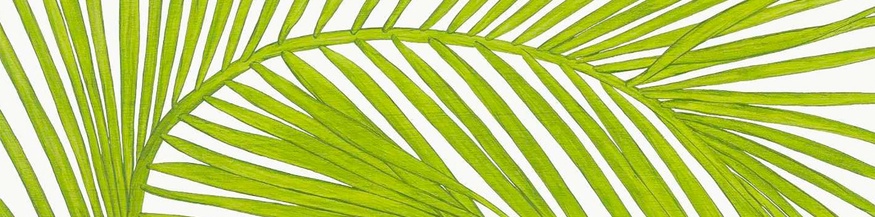 Ausschnitt des Buchumschlags, "Umwege. Essays für schwieriges Terrain" von Rebecca Solnit