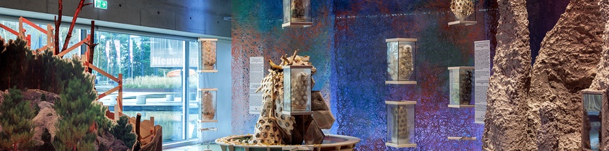 FUNGI: Anarchist Designers / Feifei Zhou (CN), Anna Tsing (US) - Ausstellungsansicht