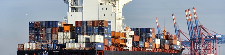 Containerfrachter Rio Grande Express im Waltershofer Hafen