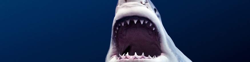 Michael Muller, "Tear You Apart", 2009 (Ausschnitt)