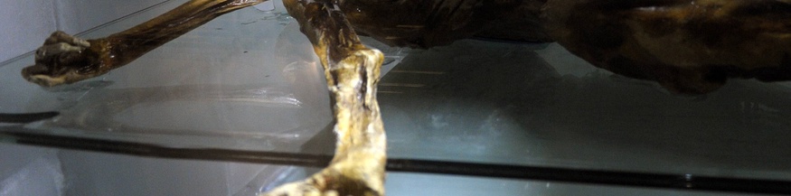 "Ötzi" in der Kältekammer