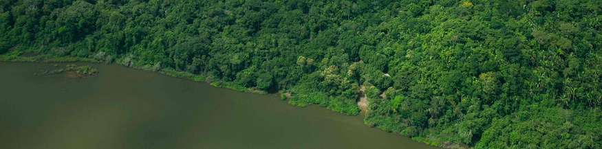 Amazonasgebiet in Para, Brasilien