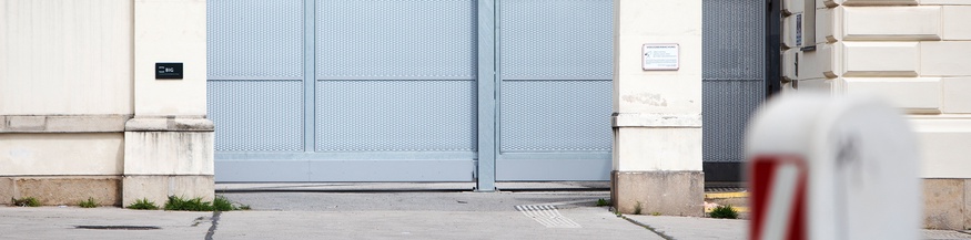 Direktion Staatsschutz und Nachrichtendienst, DNS