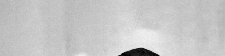 Oberkopf von Adolf Hitler