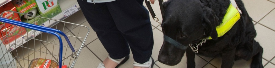Frau mit Sehbehinderung und Blindenhund im Supermarkt