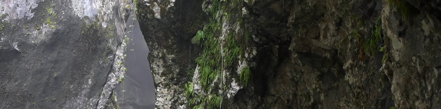 Schlucht, Gestein, Alpen