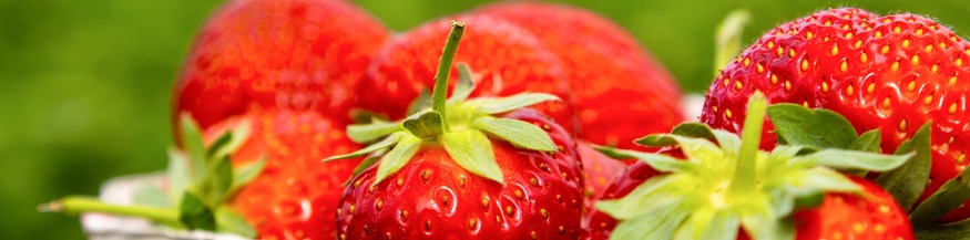 Erdbeeren