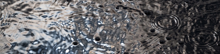 Wasser