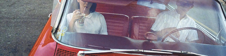 Joy Williams: "Stories 2" - Ausschnitt des Buchumschlags