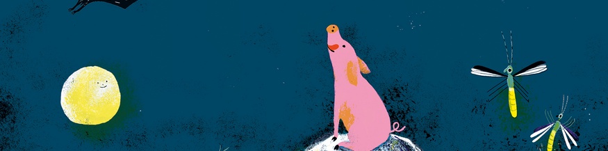 "Tierisch wilde Schlafmützen" von Michael Stavaric (Ausschnitt des Umschlags)