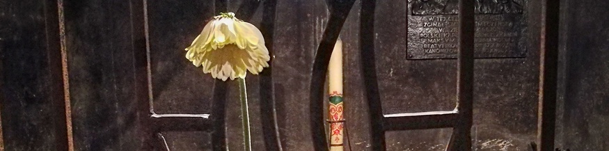 NS-Vernichtungslager Auschwitz-Birkenau 