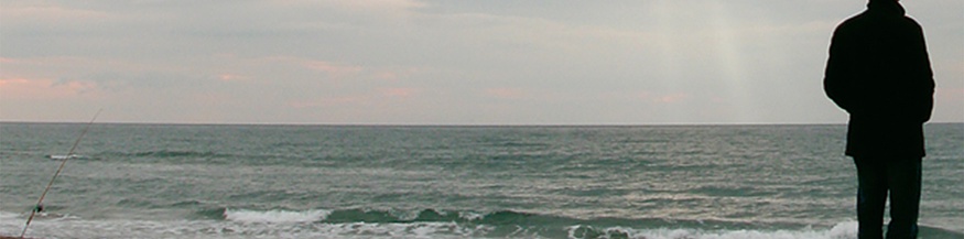 HANSER VERLAG Mann am Meer, Ausschnitt des Buchcovers