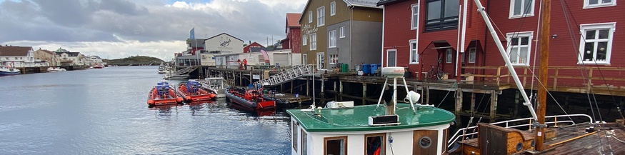 Dorf, Häuserzeile neben Wasser, Lofoten