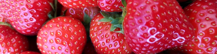 Erdbeeren