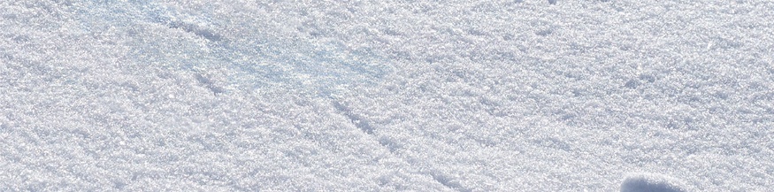 "Eine stille Nacht", Cover (Ausschnitt)