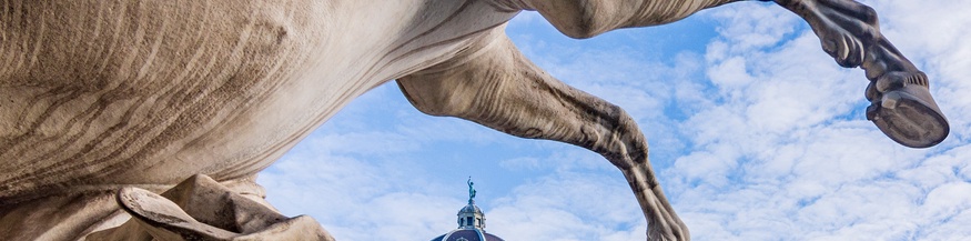 Statue, Pferd, Hofburg