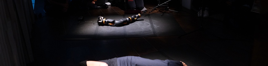 Projekt "disarming II" - Performance