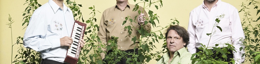 Das Erste Wiener Heimorgelorchester