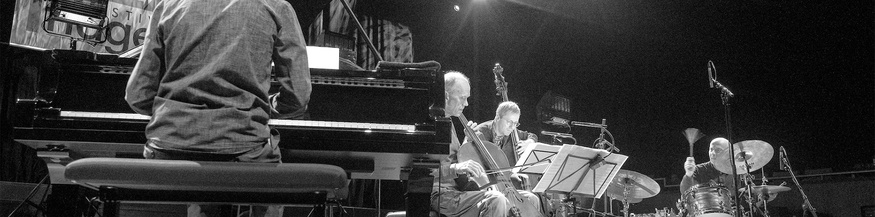 Bram de Looze mit Thomas Morgan, Joey Baron, Hank Roberts