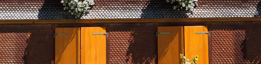 Bregenzerwaldhaus in Schoppernau, Bregenzer Wald