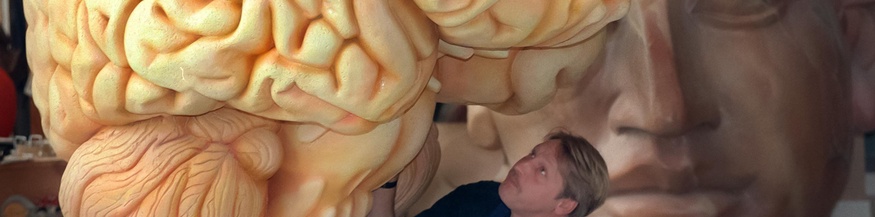 Modell eines Gehirns