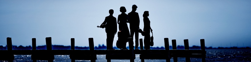 Pacific Quartet Vienna