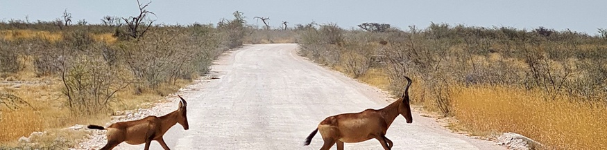 Namibia, Nationalpark