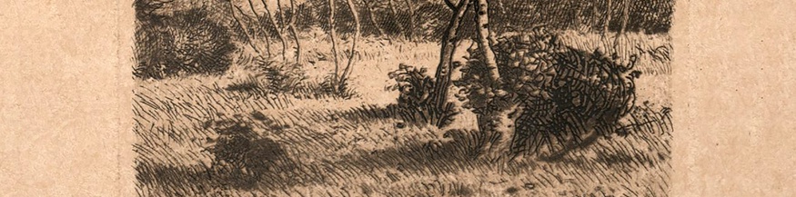 Xaver Bayer, "Hauch" (Ausschnitt des Buchumschlags)