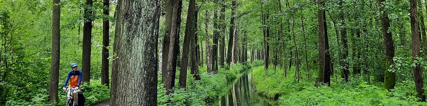 Radfahrer, Spreewald