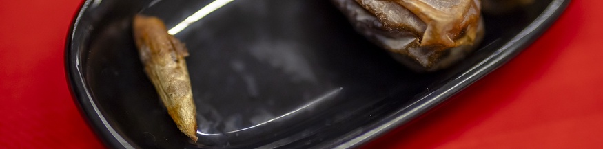 Datteln und Dattelkern