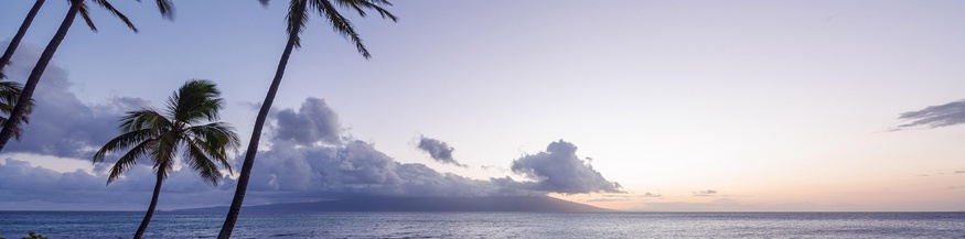 Sonnenuntergang auf Hawaii mit Silhouetten von Palmen