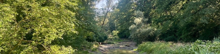 Nationalpark in Österreich: Bachlandschaft