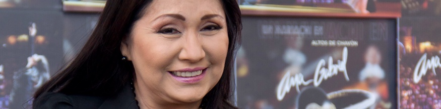 Ana Gabriel, 2013