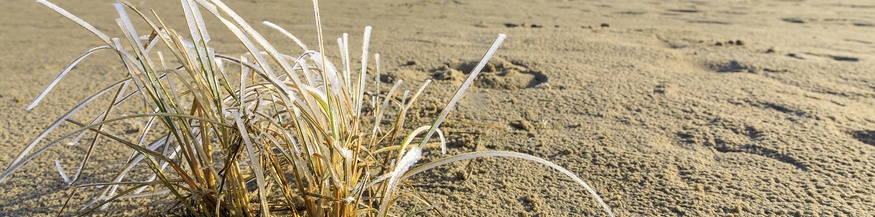 Strand, Ostfriesland