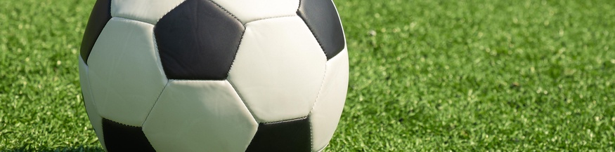 Fussball auf dem Rasen