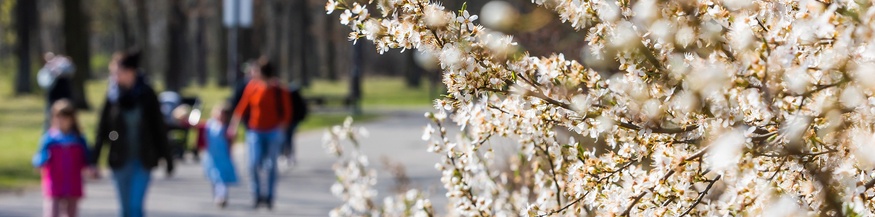 Frühling im Park: Spaziergängerinnen
