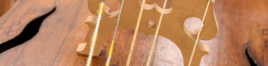 Viola da gamba, Nachaufnahme