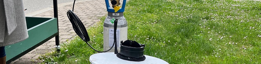Insektenmonitoring in Österreich