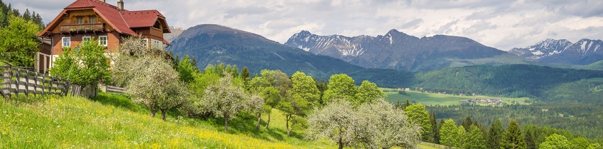 Bergbauernhof im Salzburger Lungau am Fanningberg 