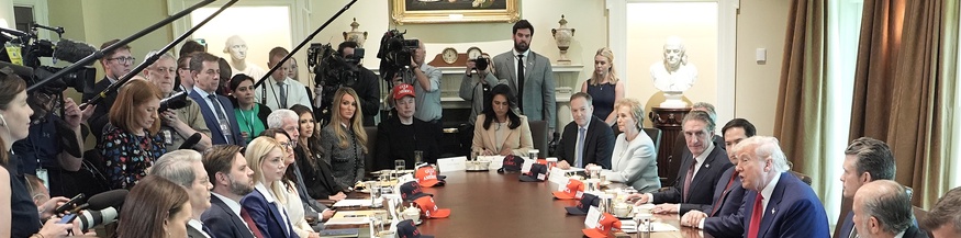 Donald Trump hält ein Kabinett-Treffen mit Presse und Elon Musk ab
