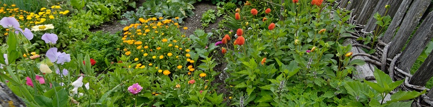 Bauerngarten/Gemüsegarten im Pustertal, Südtirol, Italien