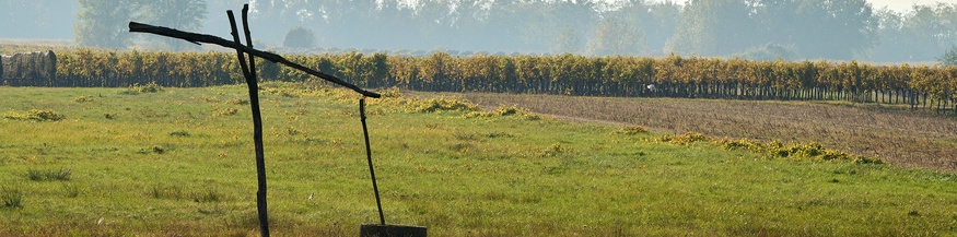 Ziehbrunnen im Burgenland
