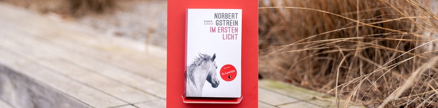 Buch des Monats: "Im ersten Licht" von Norbert Gstrein