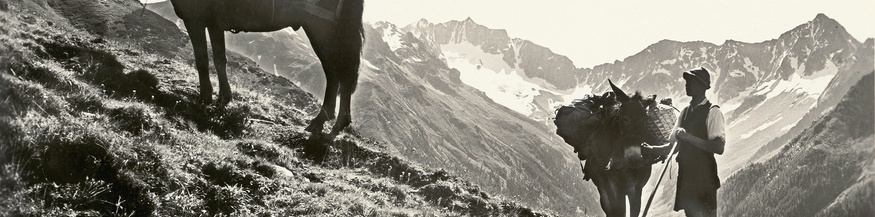Bergbauer mit Esel in den Mallnitzer Tauern, um 1930