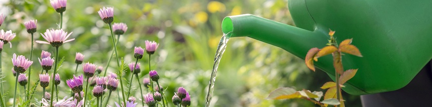 Gießwasser, Gießkanne, Garten