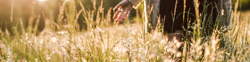 Frau streicht durch eine hohe Blumenwiese