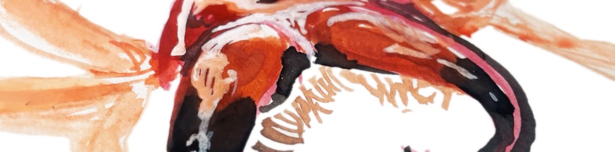 Illustration des Ammendornfingers