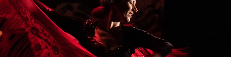 Flamenco-Tänzerin